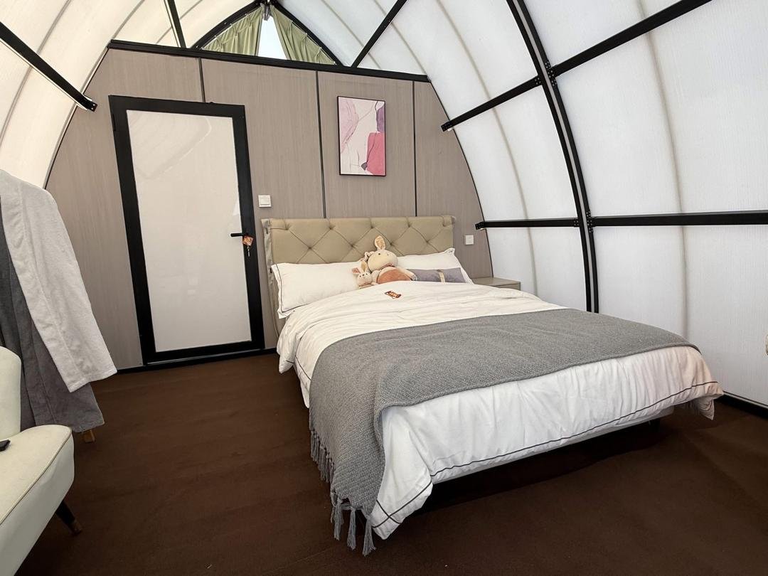 auto draft auto draft